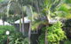Nambour Rainforest Holiday Village - thumb 1
