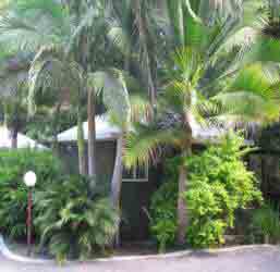 Nambour Rainforest Holiday Village - Tourism Caloundra 1