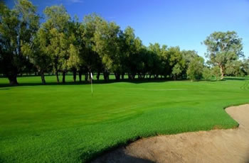 Golf Links Motel - Tourism Caloundra 7
