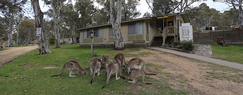 Kosciuszko Tourist Park - Tourism Caloundra 5