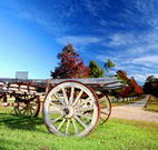 The Oaks Ranch and Country Club - Mossy Point - Tourism Caloundra