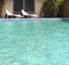 Toreador Motel - Coffs Harbour - Tourism Caloundra