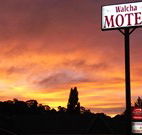 Walcha Motel - Walcha - Tourism Caloundra