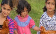 Barrington Tops Organic Retreat - Tourism Caloundra 2