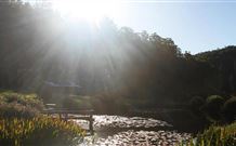 Blair Athol Estate - Tourism Caloundra 0