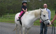 Mansfield Cottage Barrington Tops Accommodation - Tourism Caloundra 0