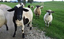 Mount Christopherson Retreat - Tourism Caloundra 3