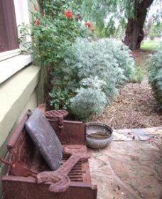 Rosnay Farmstay - Tourism Caloundra 0