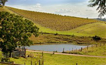 Sanctuary Hill Retreat - Tourism Caloundra 0
