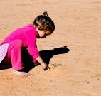 Stony Creek Farm B and B - Tourism Caloundra
