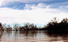 Stony Creek Farm B And B - Tourism Caloundra 5
