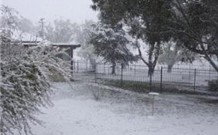 Tirrintippin - Tourism Caloundra 0