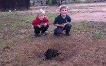 Venterfair Rural Retreat - Tourism Caloundra 4