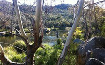 Venterfair Rural Retreat - Tourism Caloundra 3