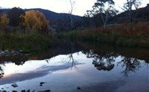 Venterfair Rural Retreat - Tourism Caloundra 6
