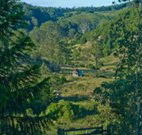 Yarralong BnB and Farm Stay - Tourism Caloundra