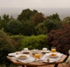 Barefoot Springs Bed and Breakfast - Tourism Caloundra