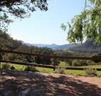 Cedar Grove - - Tourism Caloundra