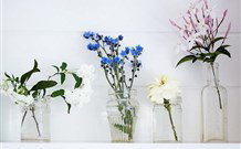 Cottonwood Cottage - Tourism Caloundra 1