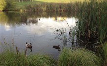East Bowral NSW Tourism Caloundra