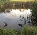 Harewood House Bed and Breakfast - Tourism Caloundra
