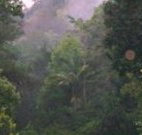 Havans Ecotourist Retreat - - Tourism Caloundra