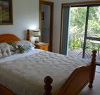 Peaceful Palms Bed and Breakfast - - Tourism Caloundra