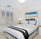 Pelican Paradise - - Tourism Caloundra