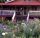Rose Patch Bed and Breakfast - Tourism Caloundra