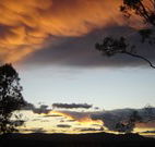 Silkwood B and B - Tourism Caloundra