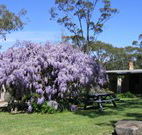 Studio Cottages - Tourism Caloundra