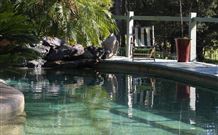 Telegraph Retreat - - Tourism Caloundra 3
