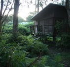 Mount Seaview Resort - Tourism Caloundra