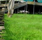 Snowy Valley Resort - Tourism Caloundra