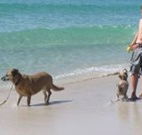 A Paradise Bungalow Waterfront - Tourism Caloundra
