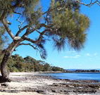 David Jones Cottage - Tourism Caloundra