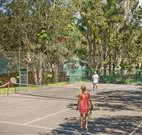 Driftwood - Tourism Caloundra