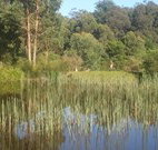 Fosterton Lodge Retreat - Tourism Caloundra