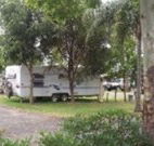 Gum Tree Heaven - Tourism Caloundra