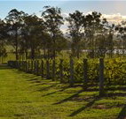 Hidden Treasure - Tourism Caloundra