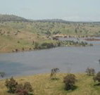 In The Heart Of Husky - Tourism Caloundra