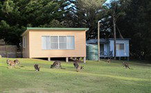 Lake Haven Castle Cottage - Tourism Caloundra 1