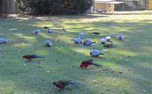 Lake Haven Castle Cottage - Tourism Caloundra 2