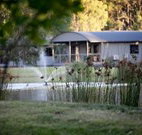 Mt Clunie Cabins - Tourism Caloundra