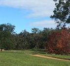 Mulberry Cottage - Tourism Caloundra