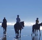The Hayloft - Tourism Caloundra