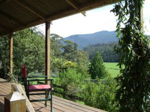 Fairview Farm Cottages - Tourism Caloundra 6