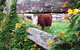 Fairview Farm Cottages - thumb 4