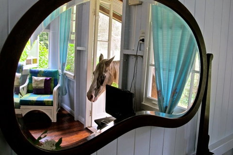 Noosa Avalon Farm Cottages - Tourism Caloundra 10