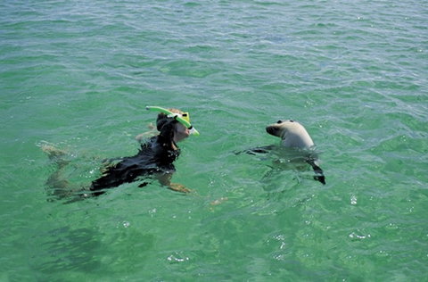 Coodlie Park - Port Kenny - Venus Bay - Tourism Caloundra 3